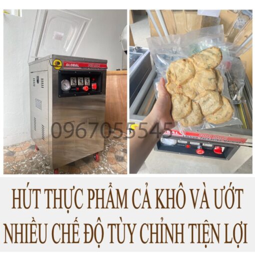 Máy Hút Chân Không DZQ-400 PROMAX 2024 - Hình ảnh 6