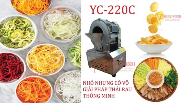 Máy thái rau củ quả YC-220C