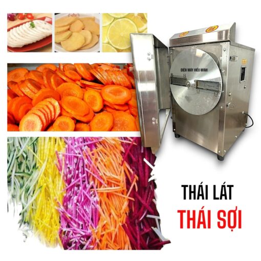 Máy thái rau củ QSP-20 - Hình ảnh 4