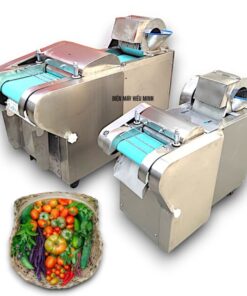 Máy thái rau củ quả YQC660