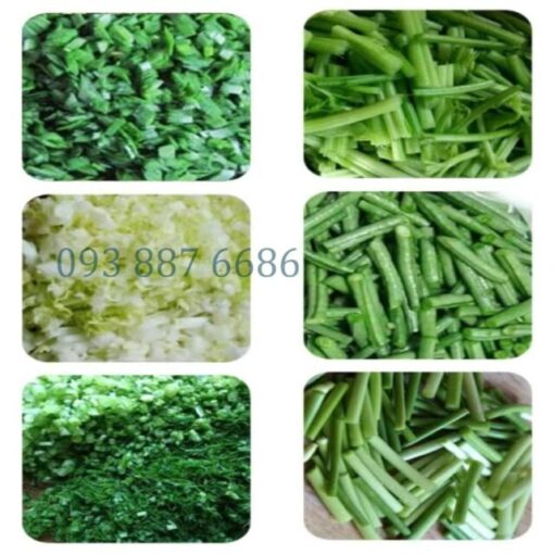 Máy thái rau củ quả YQC850 - Hình ảnh 2