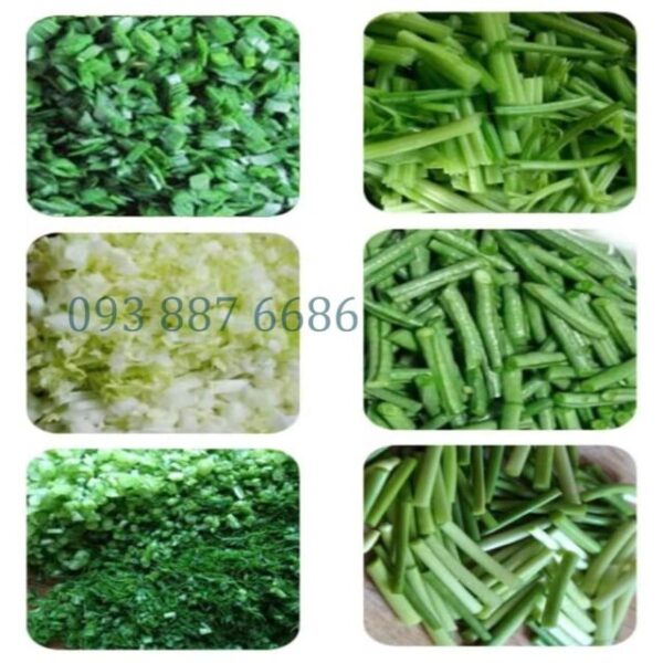 Máy thái rau củ quả YQC850 - Ảnh 2