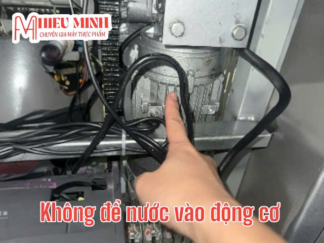 cách vệ sinh và bảo quản máy thái rau