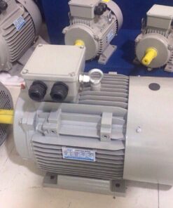 Motor máy thái thịt