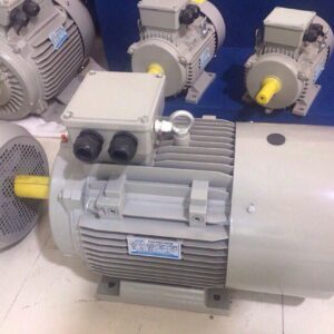 Motor máy thái thịt